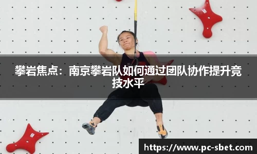 sbet实博